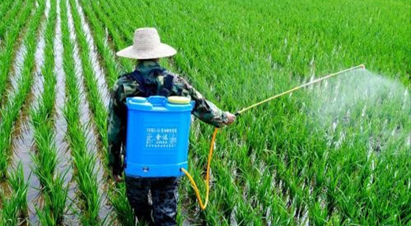 農(nóng)藥污水應該怎樣處理-污水處理流程-樂中環(huán)保