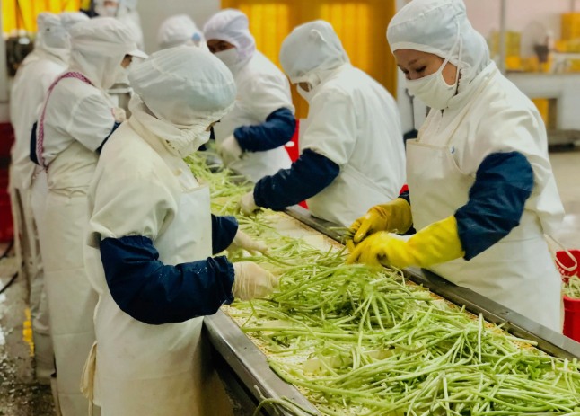 三種食品污水處理設(shè)備工藝流程，看看哪種適合您？